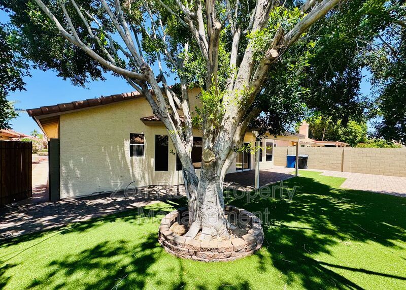 Beautiful & Cozy Chandler Home! property image