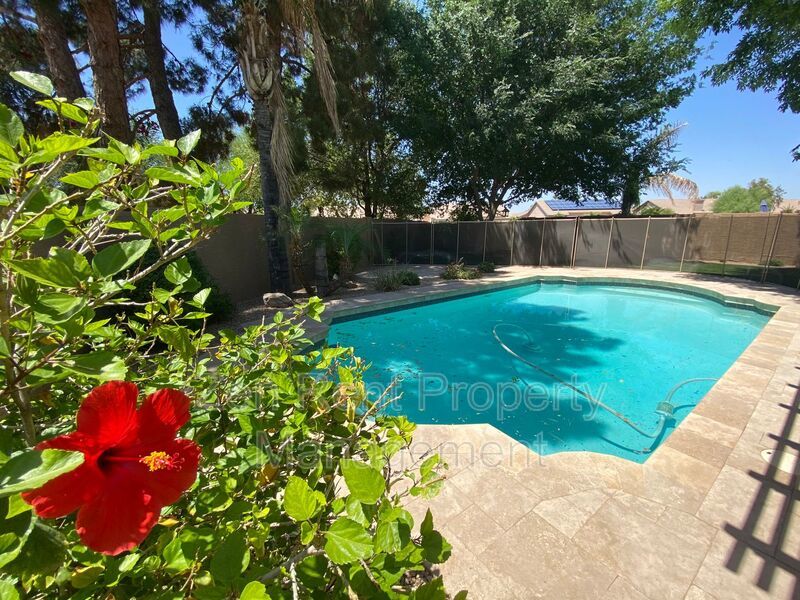 Heart of Gilbert property image