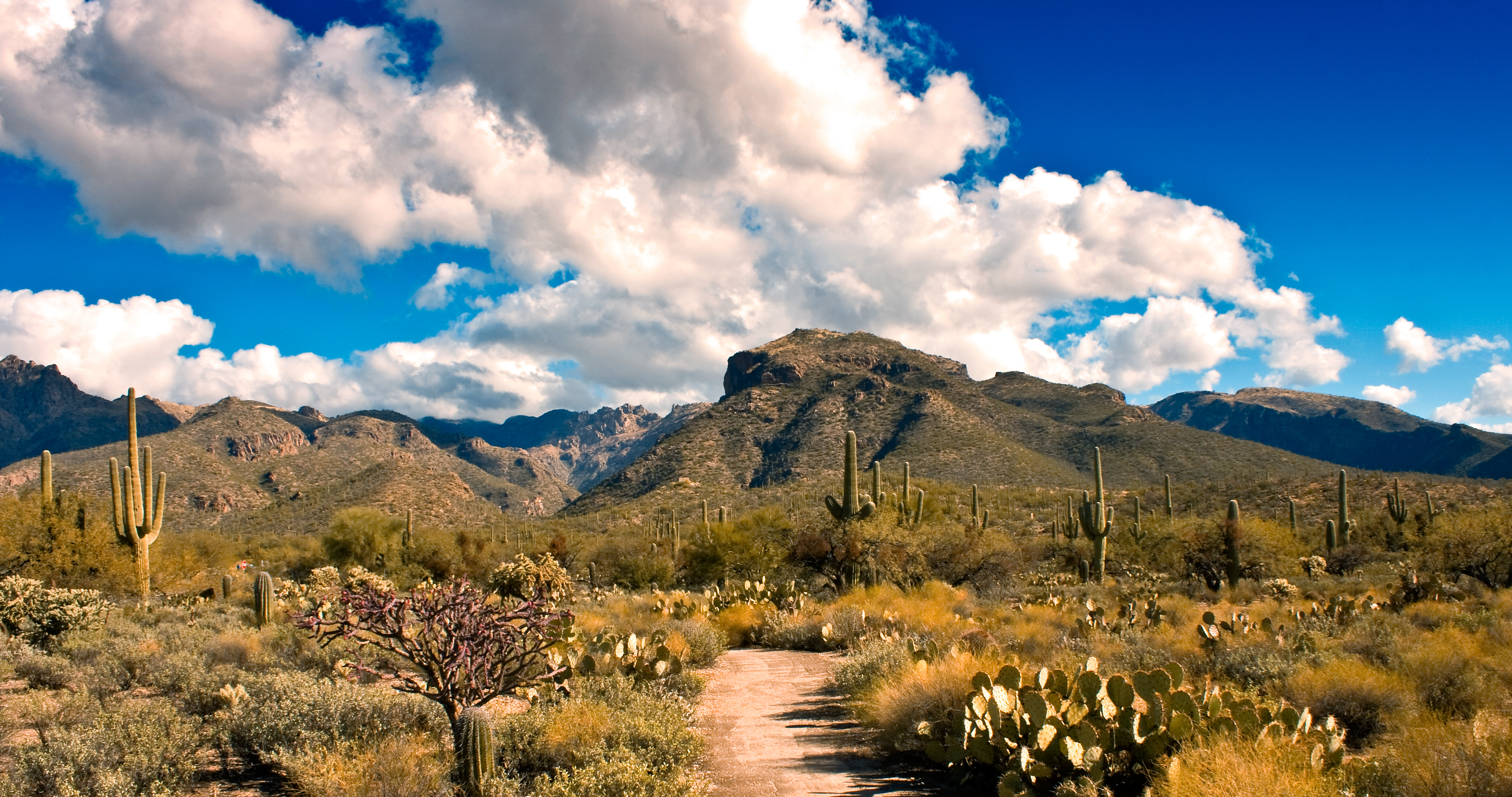 Queen Creek Area Info